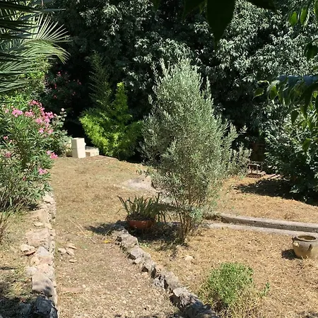 06bi2 - Beautiful With Garden And Terrace Le Cannet